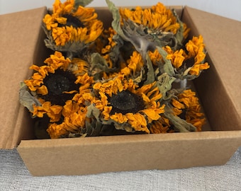 Material de girasol seco: perfecto para la decoración de Halloween y para adornar jabones artesanales.