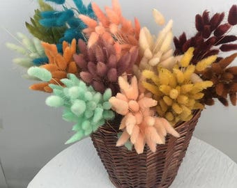 Colas de conejo secas: perfectas para la decoración del hogar y para colgar en la pared.