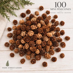 May include: A collection of 100 brown mini pinecones scattered on a white wooden surface. The text 100 MINI PINECONES NATURAL VERSATILE BEAUTIFUL is printed in the upper right corner, and the text FERN STREET GOODS is in the lower left.