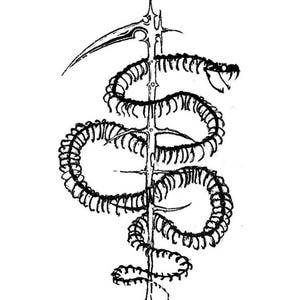 May include: A black and white ink illustration featuring a skeletal snake coiled around a vertical scythe. The snake has a visible ribcage and open jaw, while the scythe has a sharp, curved blade at the top and a pointed base, rendered in a sketch style.