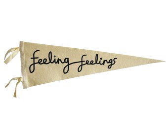 feeling feelings pennant