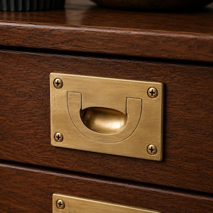 May include: A dark brown wooden drawer front featuring a rectangular brass flush pull handle. The handle is secured with four small brass screws, one in each corner of the rectangular plate, and has a recessed U-shaped grip for opening.