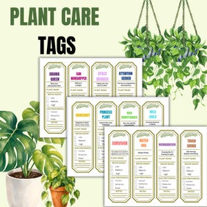 Op de afbeelding: Een set printbare plantverzorgingslabels met titels zoals Drama Queen, Sun Worshipper en Survivor. Elk label bevat secties voor de plantnaam, waterbehoefte, zonlichtvoorkeur en notities, versierd met illustraties van groene bladeren.