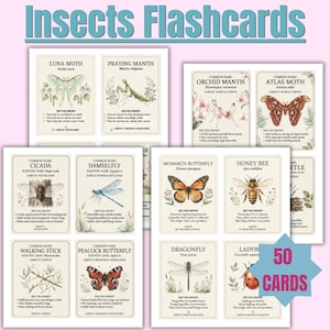 May include: A set of 50 educational insect flashcards featuring detailed illustrations of various bugs like the Luna Moth, Praying Mantis, and Monarch Butterfly. Each card includes the common name, scientific name, habitat, and fun facts.