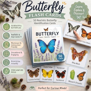 May include: A set of 50 Butterfly Flash Cards featuring realistic butterfly identification images. The cards display various species like the Zebra Swallowtail, Atlas Moth, and Monarch Chrysalis, with text labels and a central card showing a blue butterfly.