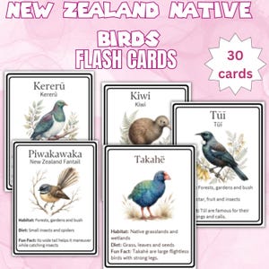 May include: A set of 30 New Zealand Native Birds flash cards featuring illustrations of a Kererū, Kiwi, Tūī, Piwakawaka, and Takahē. Each card displays the bird name, habitat, diet, and a fun fact in black text on a white background with a border.