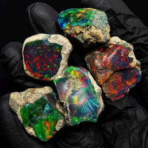 May include: Five raw opal specimens featuring vibrant flashes of red, green, and blue color play against dark, translucent stone bases. Each piece retains its natural, rough, beige-colored rock matrix along the edges, showcasing raw textures.