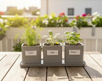 Juego de 3 macetas para hierbas aromáticas, jardín moderno para alféizar de ventana de cocina, macetas de PETG con autorriego