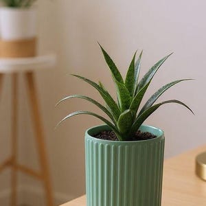 Ribbed Utensil Holder Crock: Modern Kitchen Counter Organizer — main view, 3D printed home decor made in Malta