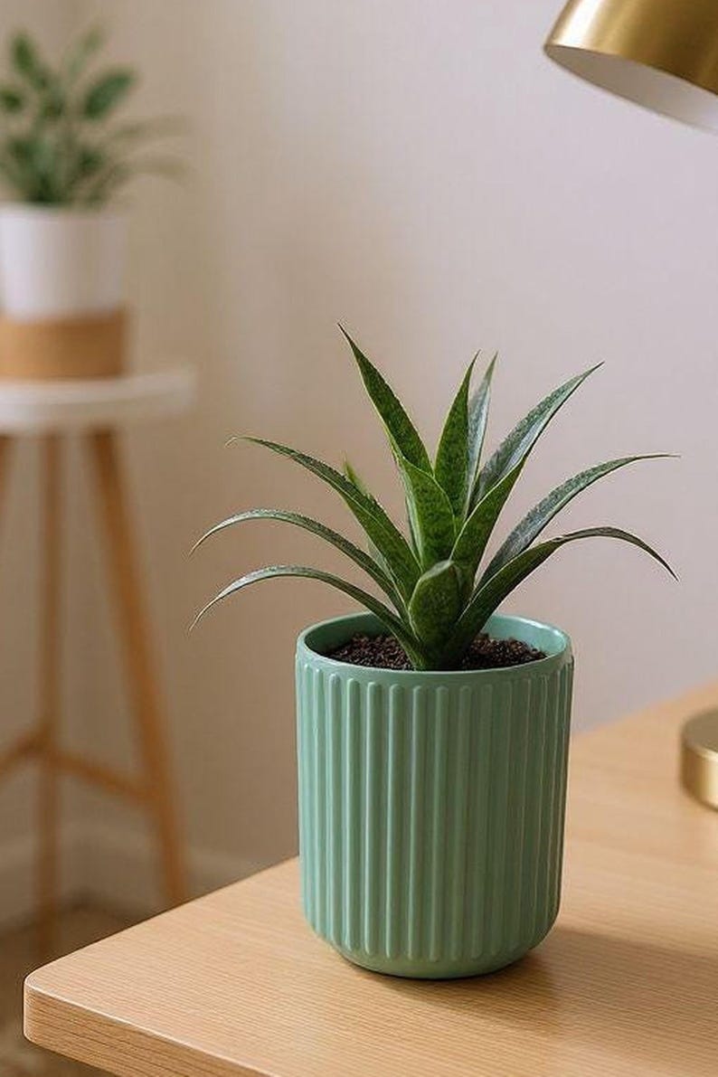 Ribbed Utensil Holder Crock: Modern Kitchen Counter Organizer — main view, 3D printed home decor made in Malta