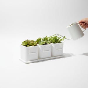 May include: Three white square planters with molded handle details sit on a matching rectangular tray. Each planter holds a small green succulent or herb plant. A white watering can is positioned to pour water into the rightmost planter.