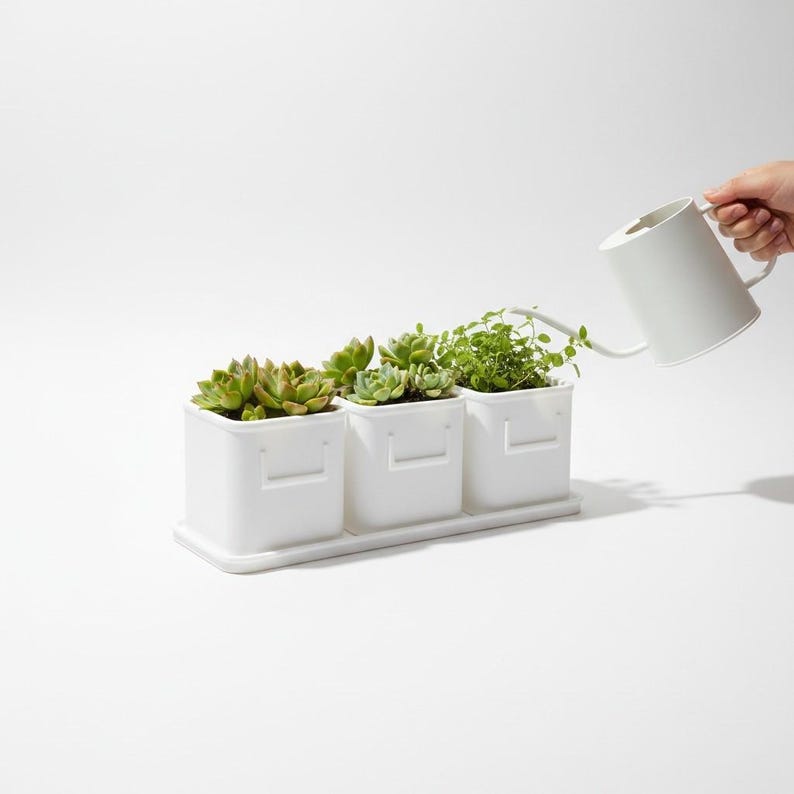 May include: Three white square planters with molded handle details sit on a matching rectangular tray. Each planter holds a small green succulent or herb plant. A white watering can is positioned to pour water into the rightmost planter.