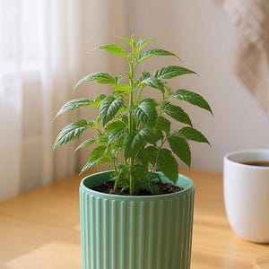 Ribbed Utensil Holder Crock: Modern Kitchen Counter Organizer — view 7, 3D printed home decor made in Malta