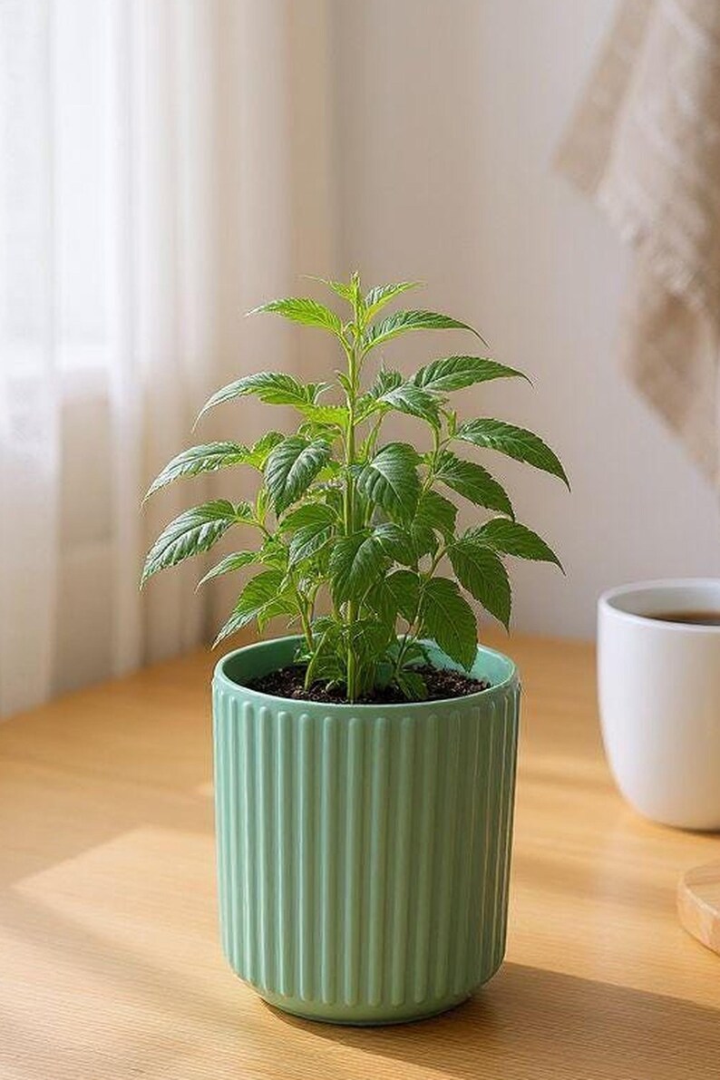 Ribbed Utensil Holder Crock: Modern Kitchen Counter Organizer — view 7, 3D printed home decor made in Malta