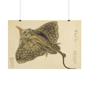 May include: A vintage-style scientific illustration of a ray fish on a cream-colored background. The ray is depicted in shades of olive green and brown with dark circular spots on its wings. Japanese calligraphy text is visible on the right side.