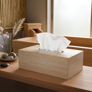 Peut inclure: Une boîte à mouchoirs rectangulaire en pierre travertin beige clair avec une texture naturelle poreuse. Un mouchoir blanc unique est tiré à travers l'ouverture centrale supérieure, s'étendant vers le haut dans une forme souple et pliée.