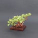 see more listings in the Gemstone Trees section