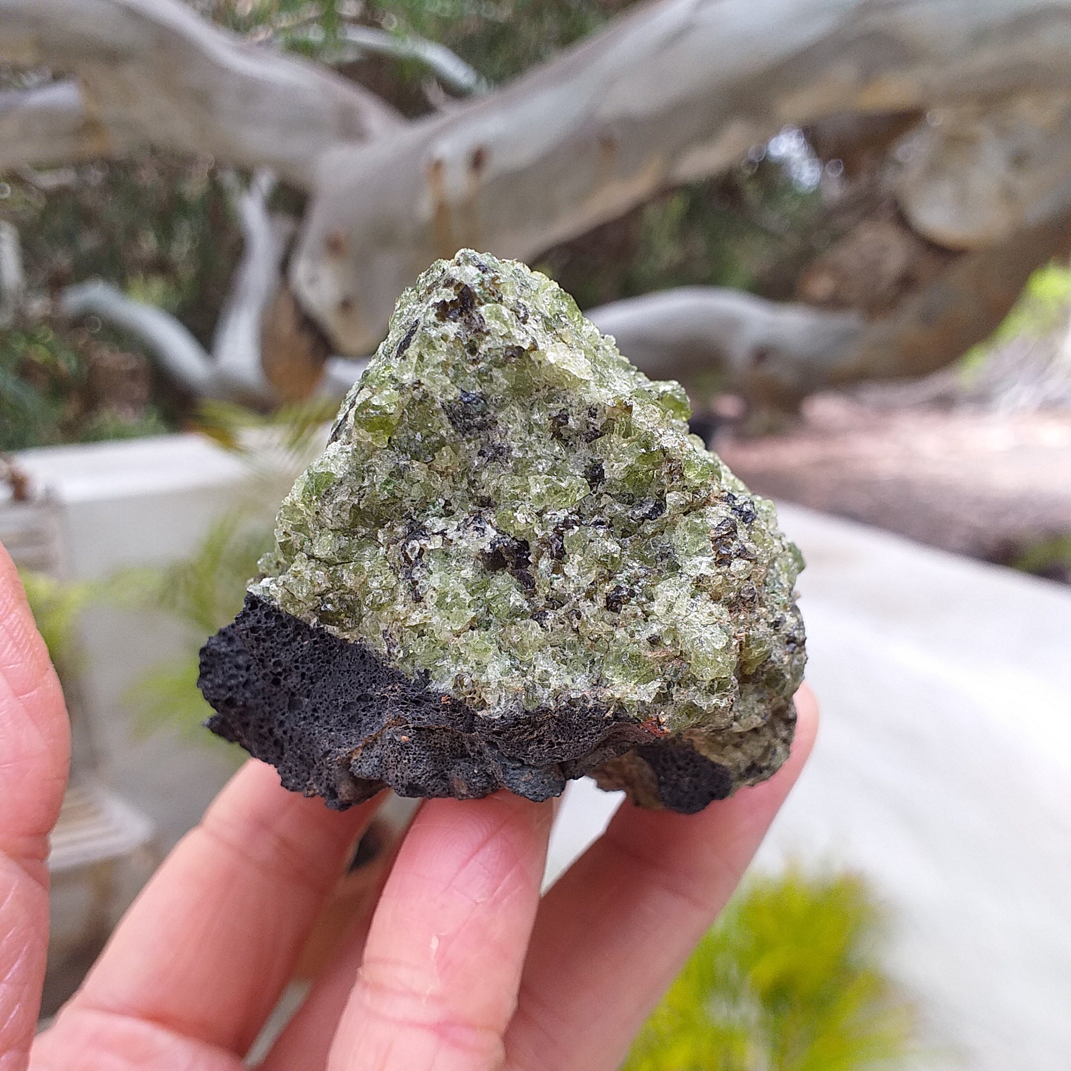希少な天然原石ペリドット・オリビン火山性鉱物標本（母岩付き）、186