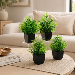 May include: Four small artificial green plants in square black pots. Two plants are positioned on a clear acrylic riser, while two are placed on the surface below. The plants feature various leaf shapes and shades of green, creating a display.