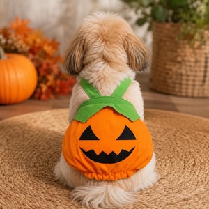 May include: A small dog with light tan fur seen from behind, wearing an orange pumpkin-shaped costume. The costume features a black felt jack-o'-lantern face with triangular eyes and a jagged mouth, topped with green fabric straps resembling leaves.