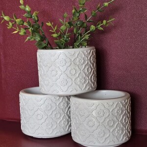 May include: Three cylindrical light gray planters featuring a repeating embossed floral and geometric pattern. One planter is stacked on top of the other two and contains a small green leafy plant with thin stems and multiple small leaves.