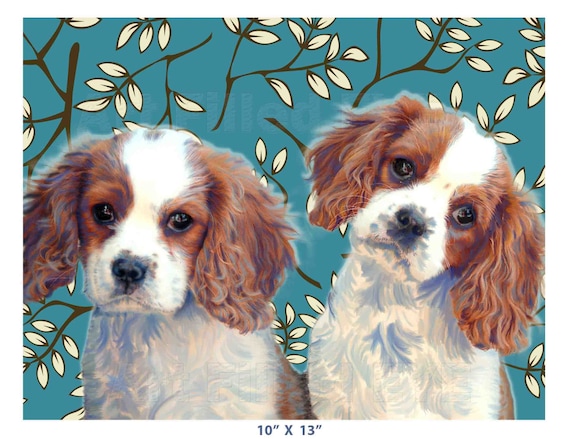 Large cavalier king charles spaniel cheap