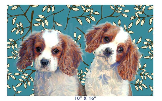 large king charles cavalier