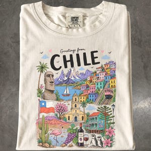 Patagonia T Shirt - Etsy