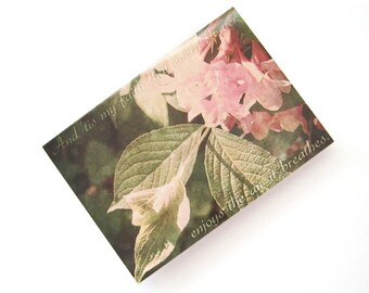 Pink Weigela Flower, Wordsworth Quote - Blank 4x5.5 Notecard Single or Set of 4 - Pink Green Floral Gardening Mothers Day