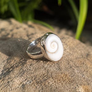 May include: A silver ring featuring a smooth, oval-shaped white shiva eye shell as the centrepiece. The shell displays a natural brown spiral pattern against a white background, set within a polished silver bezel and a textured silver band.
