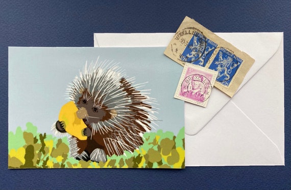Greeting card, congratulations, illustration for children, porcupine