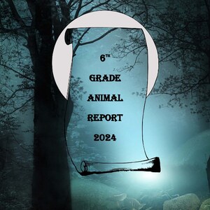 May include: A dark, misty forest scene with a white circle in the center. Inside the circle is a scroll with the text "6th Grade Animal Report 2024".