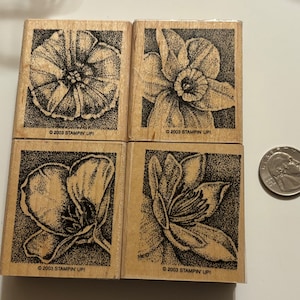 Set of 4 Flower Stamps, Perfect Petals (1 used), 2 inches