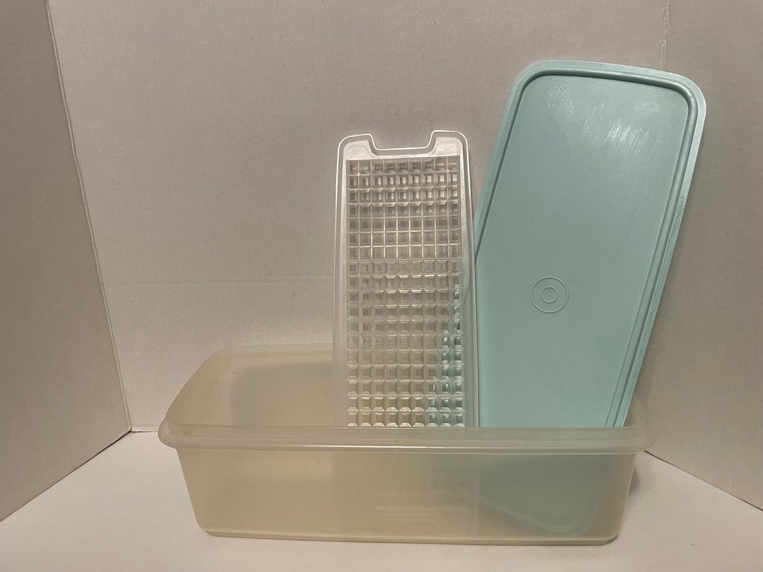 Vintage Tupperware Celery Keeper Light Green Blue Lid RR Etsy