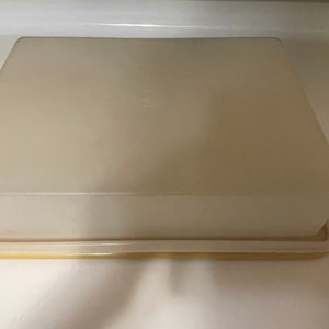 May include: A rectangular, off-white plastic container with a matching lid. The lid sits atop a yellow-toned base. The container appears to be a food storage item, likely for the kitchen.