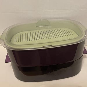 May include: A purple and black food steamer with a light green interior and a clear lid. The steamer has a rectangular shape with a slotted interior tray. The lid has a small handle for easy opening. The steamer is designed for cooking vegetables and other foods.