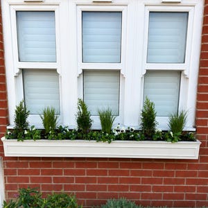 Long window boxes