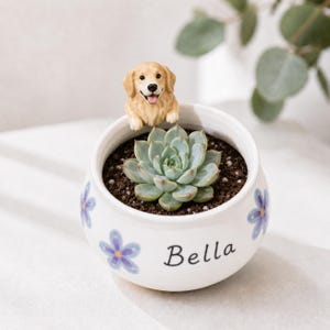 May include: A white ceramic planter featuring a hand-painted blue flower pattern and the name Bella in black script. A small, sculpted golden retriever figurine is attached to the rim, and the pot contains a single green succulent plant.