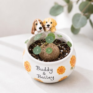 May include: A white ceramic planter featuring orange flower patterns and the text Buddy & Bailey. Two small ceramic dog figurines, one brown and white and one golden, are attached to the rim. A small plant with round green leaves grows inside.