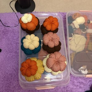 May include: A collection of six stacked, knitted fabric pumpkins in various colors including orange, cream, dark brown, teal, and dusty pink, arranged inside a clear plastic storage bin, with additional knitted items visible in a second bin.