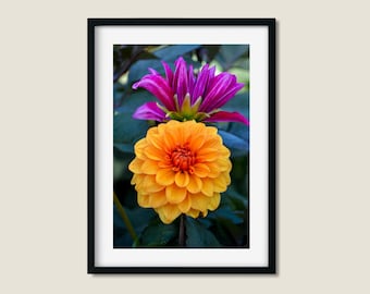 Photo wall art with orange and purple flowers - Flower art home decor - Colourful flower photo print