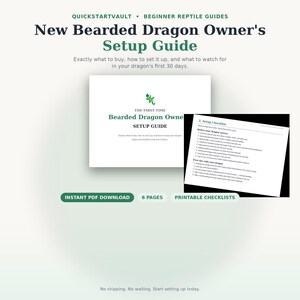 Pode incluir: Um guia digital de seis páginas intitulado New Bearded Dragon Owner's Setup Guide, com um ícone de lagarto verde, texto instrutivo e uma lista de verificação para cuidados com répteis. O documento cobre os primeiros 30 dias de posse.