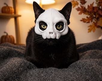 May include: A black cat wearing a white, molded plastic skull mask that covers the upper portion of the face, leaving the eyes visible. The mask features detailed eye sockets and a nasal cavity, resting securely on the cat's head and snout.