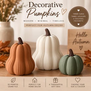 May include: Three decorative pumpkins in orange, white, and sage green with dark brown stems. The pumpkins feature vertical ribbed textures and are displayed with text that reads Decorative Pumpkins, Hello Autumn, and 3D printed using PLA.