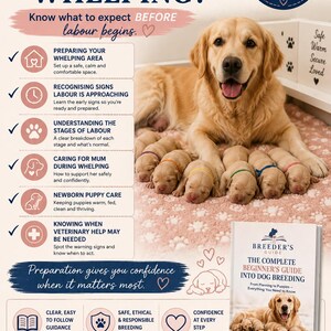 May include: An informational poster titled Worried About Your First Whelping? featuring a golden retriever mother with puppies. It lists steps for whelping preparation, labor signs, and puppy care, alongside a book titled The Complete Beginner's Guide Into Dog Breeding.