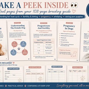 May include: A 108-page dog breeding guide featuring five informational pages and six printable templates. The pages include text on heat cycles, progesterone, pregnancy, and labor, alongside images of a golden retriever and a newborn puppy.
