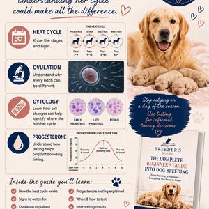 May include: An educational infographic titled Don't Guess When To Breed, featuring a golden retriever with puppies, diagrams of the canine heat cycle, ovulation, cytology, and a progesterone level graph, alongside a book titled The Breeder's Guide.