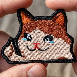May include: An embroidered patch shaped like a cat head with brown and beige thread. The cat has a black outline, blue tear-shaped eyes, a red nose, and a small paw raised in a gesture. The design is stitched with a thick black border.