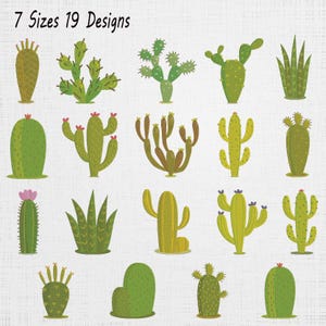 May include: A digital collection of 19 cactus embroidery designs in 7 sizes. The set features various green cacti with different shapes, textures, and small coloured flowers in pink, red, and purple. The text 7 Sizes 19 Designs is at the top.