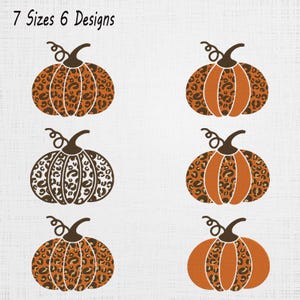 Puede incluir: Seis ilustraciones digitales de calabazas dispuestas en dos columnas, cada una con una combinación única de patrones de leopardo en naranja sólido y marrón. El texto 7 Sizes 6 Designs aparece en la esquina superior izquierda.